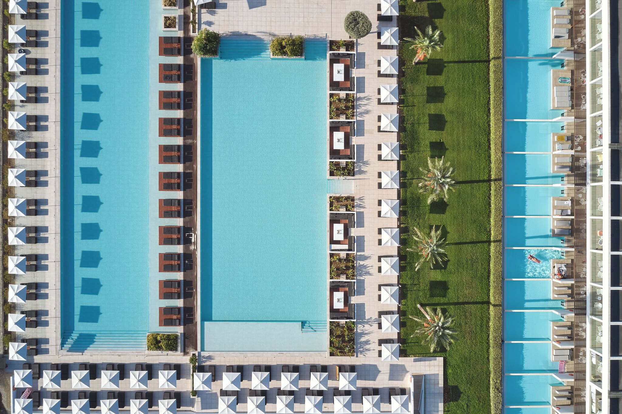 A large rectangular swimming pool with multiple lounge areas and palm trees.