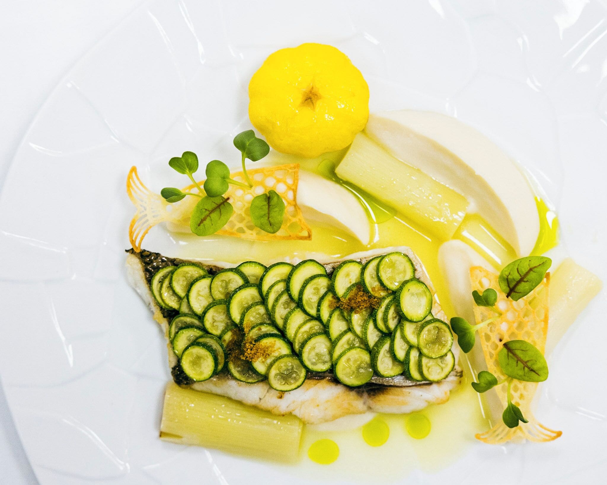 A plate with a fish fillet topped with cucumber slices, lemon, and herbs.
