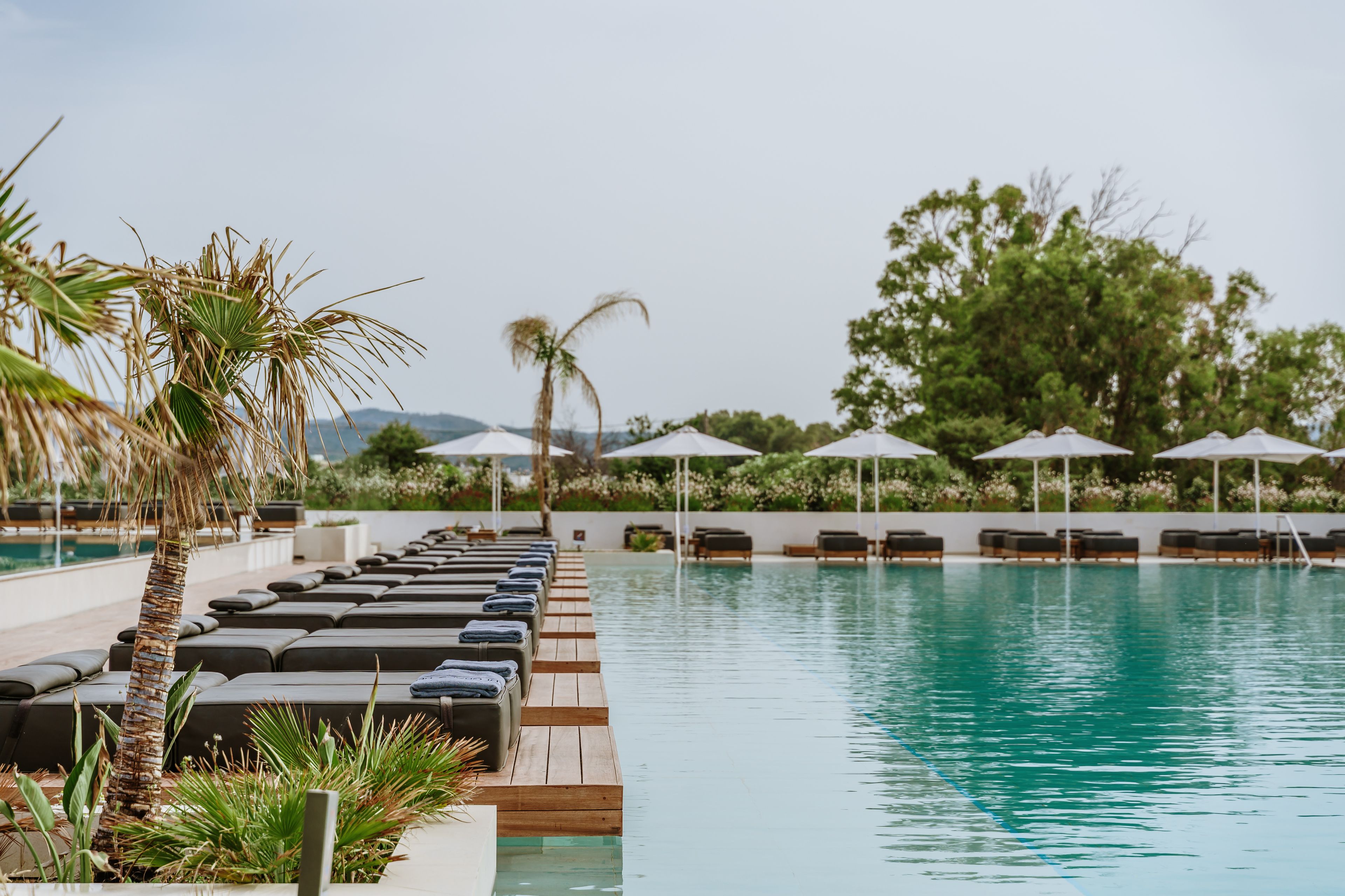 Un espace aménagé au bord de la piscine, avec des chaises longues et des parasols, entouré de verdure et surplombé d’un ciel dégagé.
