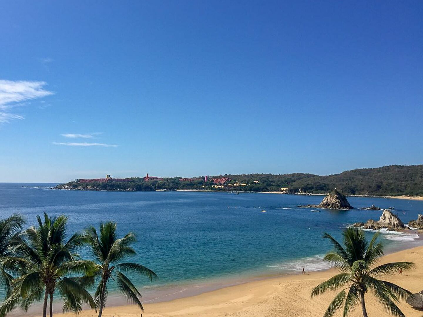 A beach with palm trees, clear blue water, and a distant shoreline with buildings.