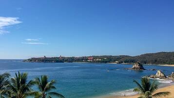 A beach with palm trees, clear blue water, and a distant shoreline with buildings.