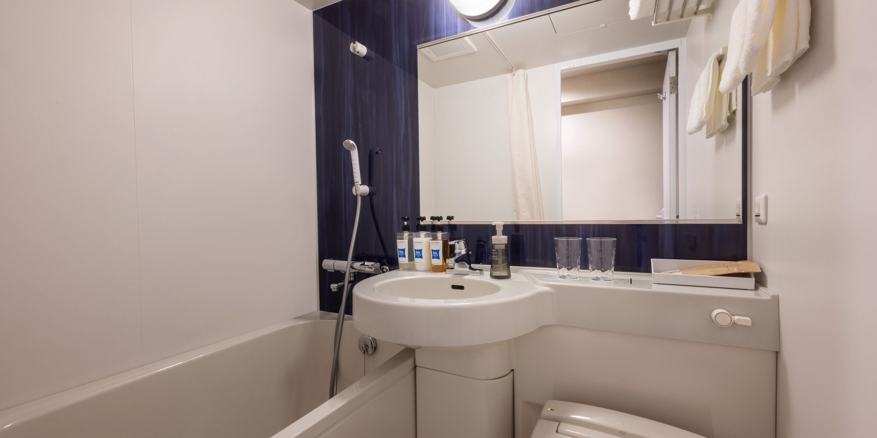 standard room, 1 double bed | bathroom | combined shower/bathtub, eco-friendly toiletries, hair dryer, bathrobes