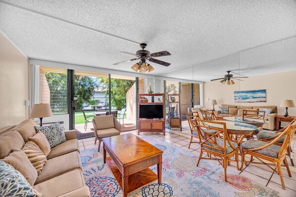 Televisio, DVD-soitin