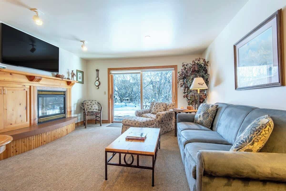 Smart TV, fireplace, books