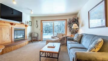 Smart TV, fireplace, books