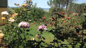 A garden with various flowering plants and a grassy area. - La Biocca (Manciano)