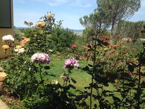 Property grounds - La Biocca (Manciano)