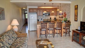 Fernseher, DVD-Player