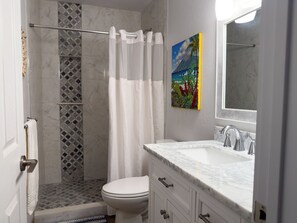 Shower, hair dryer, towels