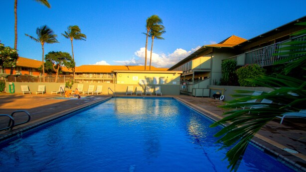 A swimming pool with lounge chairs and palm trees.