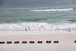 A beach with rows of sun loungers and a sandy shore.