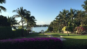 Ein angelegter Garten mit einem Gazebo, Palmen und Blick auf ein Gewässer.