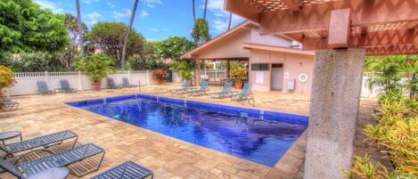 A swimming pool with lounge chairs and a covered area, surrounded by palm trees and a building.
