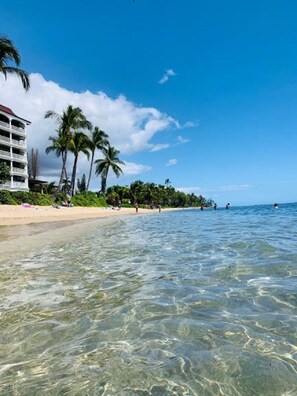 On the beach, sun loungers, beach towels - 6 th floor ocean front condo Outstanding Views! Weekly discounts available  (Lahaina)
