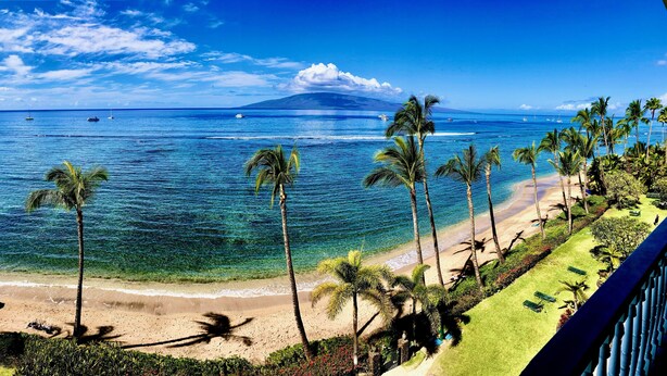 A beach with palm trees, clear blue water, and a mountain in the background. - 6 th floor ocean front condo Outstanding Views! Weekly discounts available  (Lahaina)