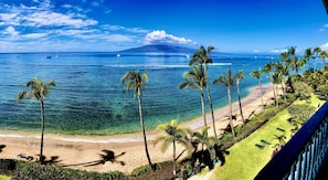 A beach with palm trees, clear blue water, and a mountain in the background. - 6 th floor Beach Front, watch sea life from our deck, king bed. (Lahaina)