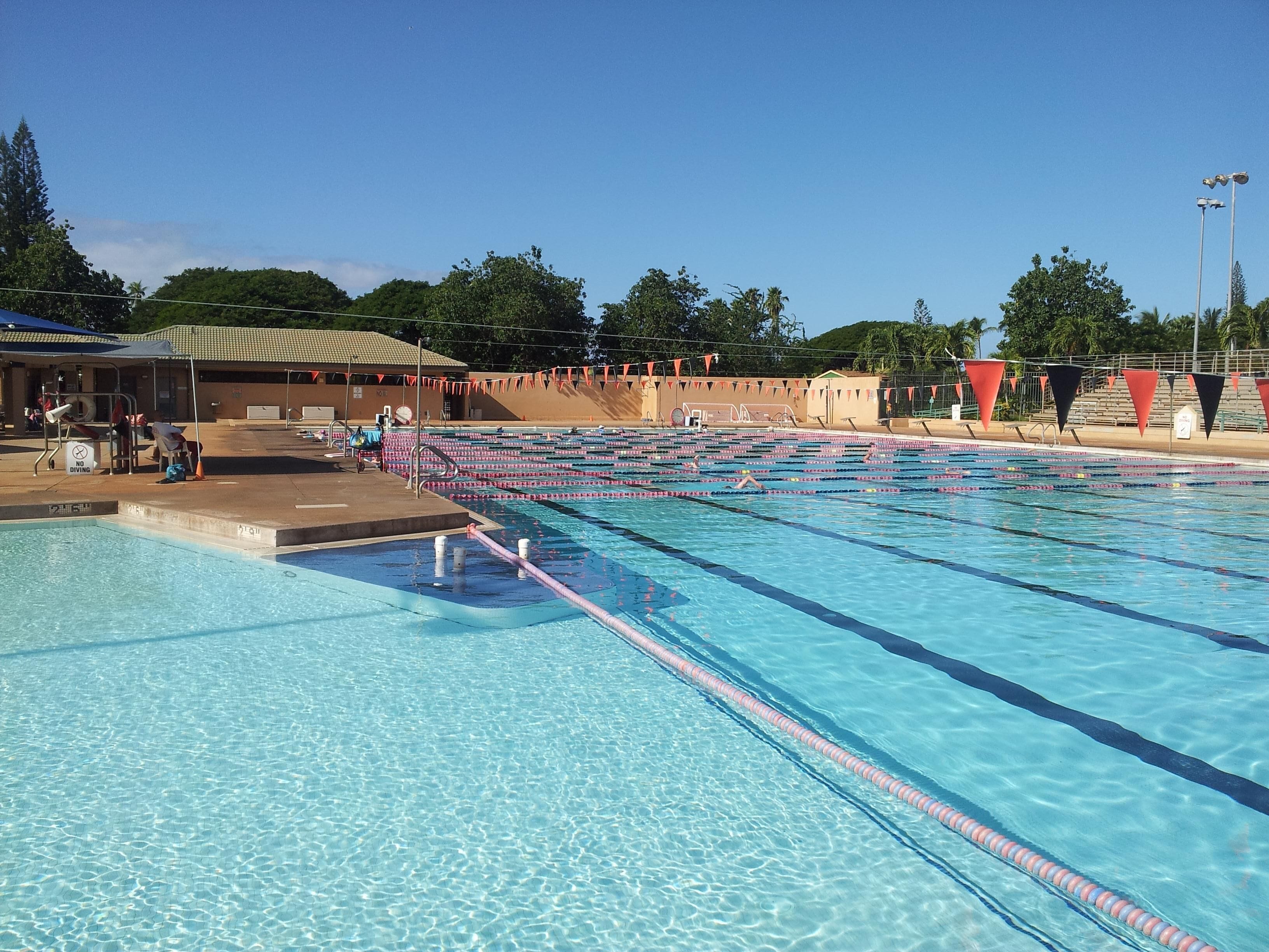 En swimmingpool med flere baner, en redningsbøje og et skilt med forbud mod dykning.