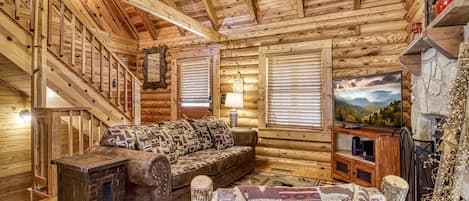 TV, fireplace, video games, DVD player