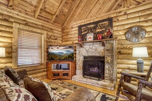 TV, fireplace, video games, DVD player