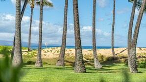 Una playa con palmeras y una vista despejada del océano.