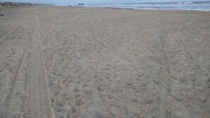 Una playa arenosa con huellas de neumáticos y algunas sillas de playa a lo lejos.