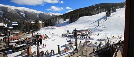 Sneeuw- en skisporten
