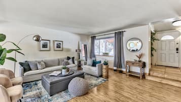 Smart TV, fireplace, video games, DVD player
