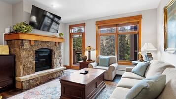 Télévision à écran plat, cheminée, lecteur de DVD