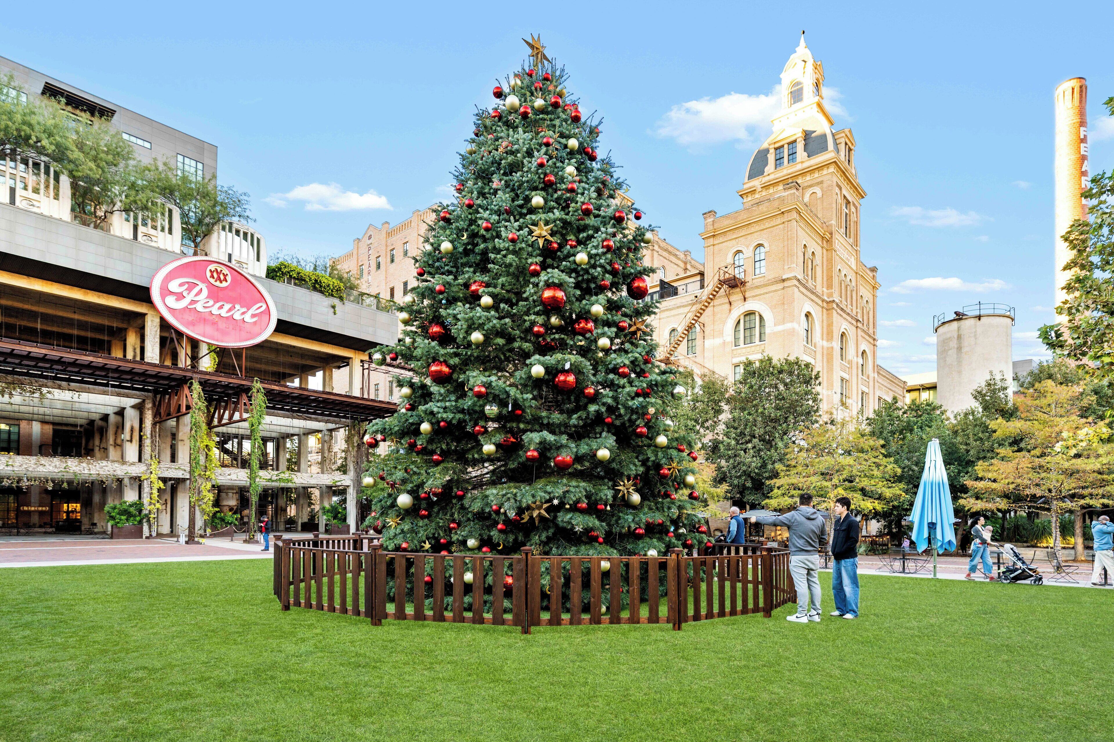 A large Christmas tree in a public square with a historic building in the background.
