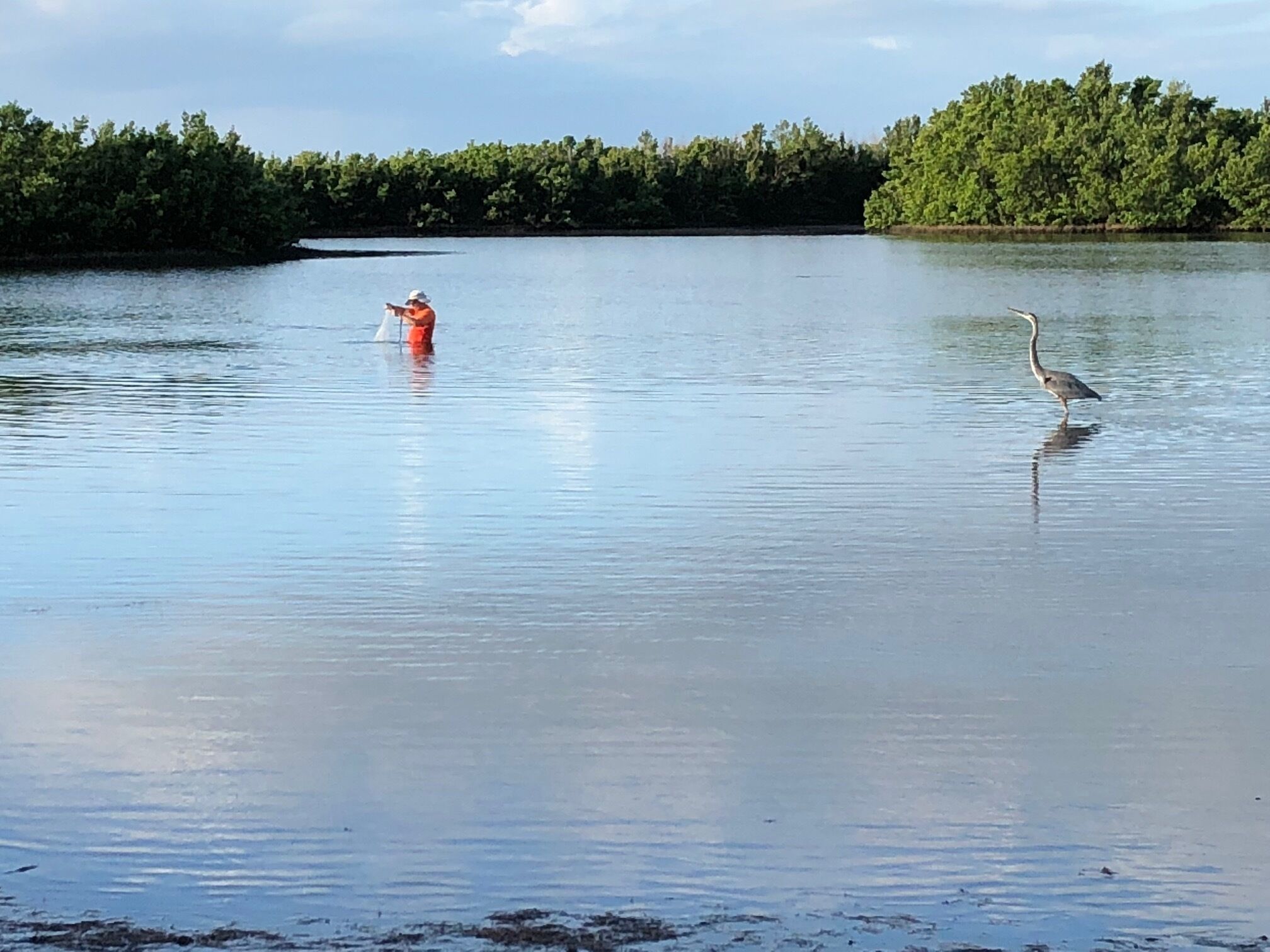 Un lago calmo con una persona in camicia rossa e cappello bianco che si trova in acqua, e un airone in piedi sulla riva.