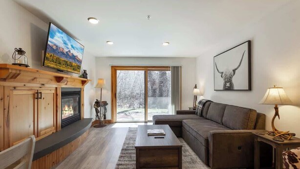 Smart TV, fireplace, books