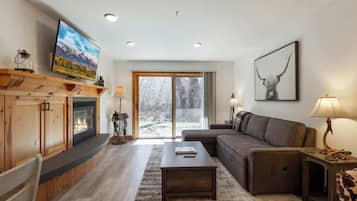 Smart TV, fireplace, books