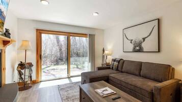 Smart TV, fireplace, books