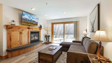Smart TV, fireplace, books