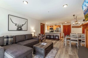 Smart TV, fireplace, books