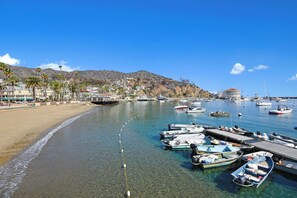 Marina - 5 Bdrm Home, Vaulted Ceilings, Amazing 180 Degree Ocean View - 176 Middle Terrac (Avalon)