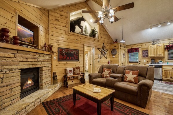 TV, fireplace, DVD player