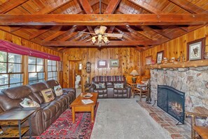 Televisión, chimenea y reproductor de DVD 