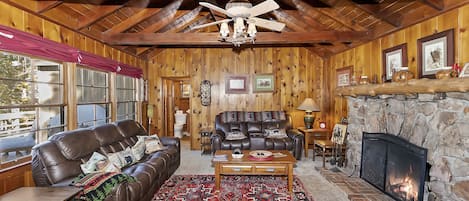 Una televisión, una chimenea, un reproductor de DVD