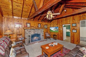 Tv, eldstad och dvd-spelare