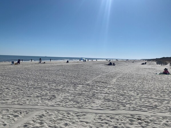 On the beach