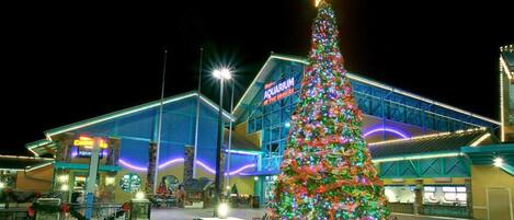 A large, decorated Christmas tree in front of a building with a sign reading "Aquarium of the Snookies."