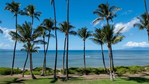 A view of a beach with palm trees and the ocean. - Oceanfront, walk to shops and restaurants (Kihei)