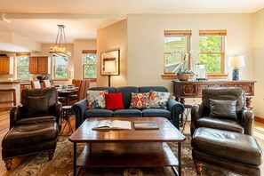 Älytelevisio, takka, stereot