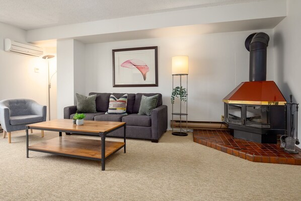 تلفزيون، مدفأة