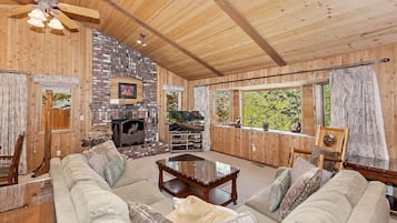 Télévision, cheminée, lecteur de DVD