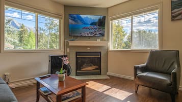 Smart TV, fireplace, DVD player