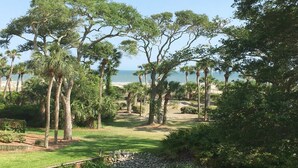 Ein angelegter Garten mit Palmen und Blick auf den Strand.