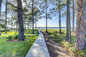 Stroll through a serene natural landscape surrounded by tall pine trees and a tranquil body of water.