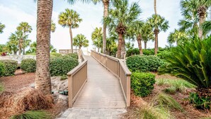 A wooden boardwalk leading through a landscaped area with palm trees and shrubs. - 442 Captains Walk | Direct Oceanfront Views (Hilton Head Island)